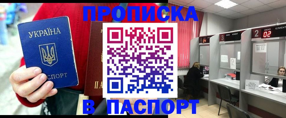 прописка 2025 в Светлогорске